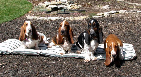 Hoover's 13th bday party 03-23-08