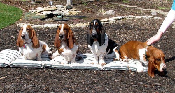 Hoover's 13th bday party 03-23-08