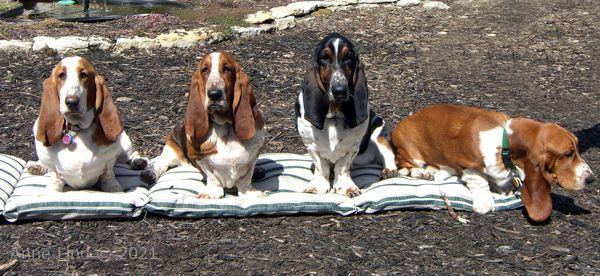 Hoover's 13th bday party 03-23-08