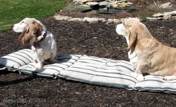 Hoover's 13th bday party 03-23-08