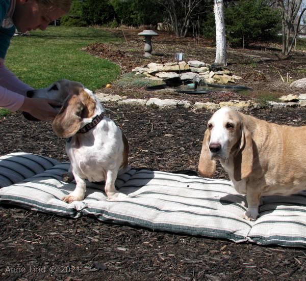 Hoover's 13th bday party 03-23-08