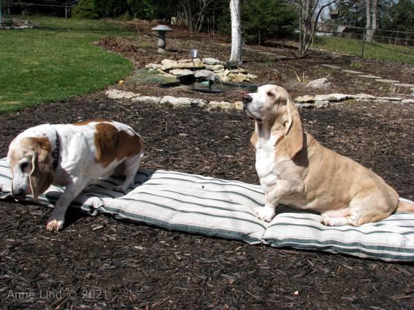 Hoover's 13th bday party 03-23-08