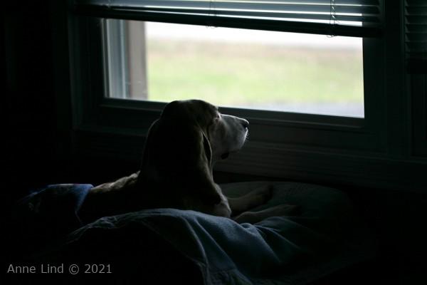 Hoover just hanging out