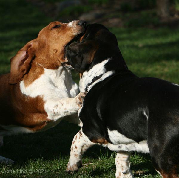 Another day of playing