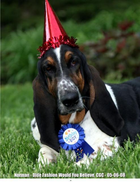 Birthday boy Norm turns 2