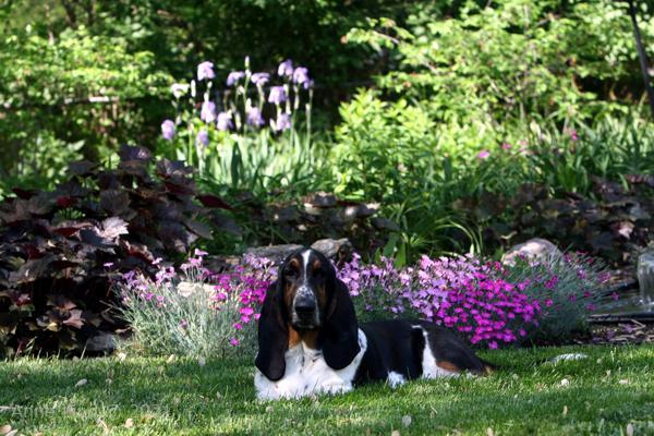 Norm just hanging out