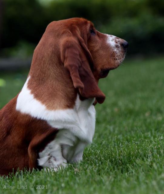 Nooge just hanging out