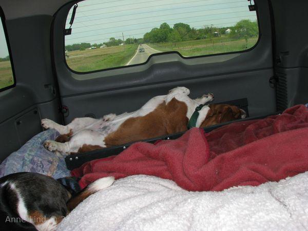 Nooge riding in teh BUV