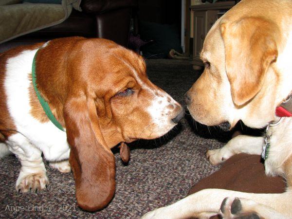 Nooge and Charlie