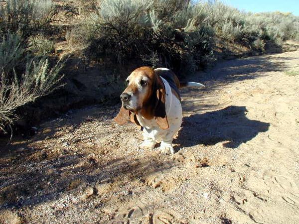 Mari out walking in the dessert sun