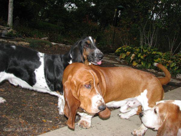 Norm and Noogers teasing Gretch