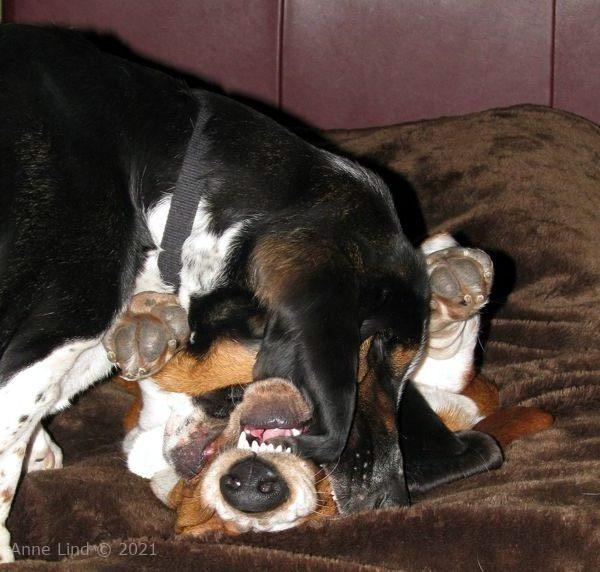 Norm and Nooge wrestling