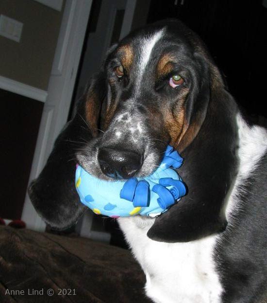 Normie with his new toy