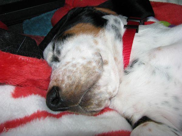 Isabella's ride home from WI