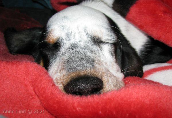 Isabella's ride home from grammas