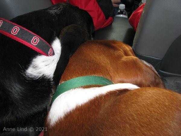 N&N ride home from grammas