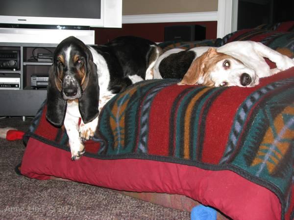 Norm and Gretchen on chair
