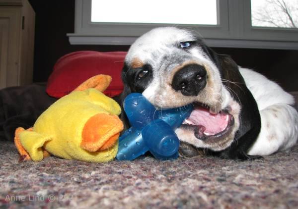 Isabella and her toys