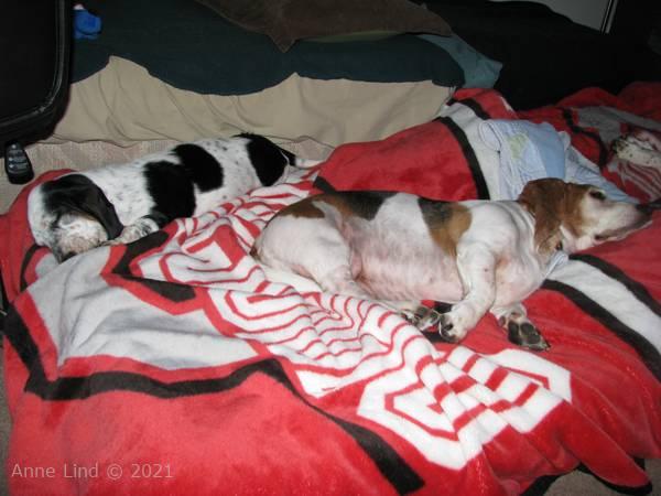 Gretch and Is napping