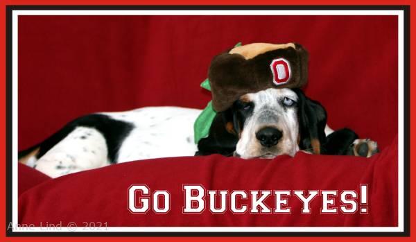 Isabella in her OSU hat