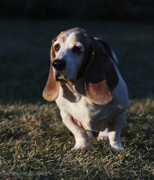 Gretchen out meandering