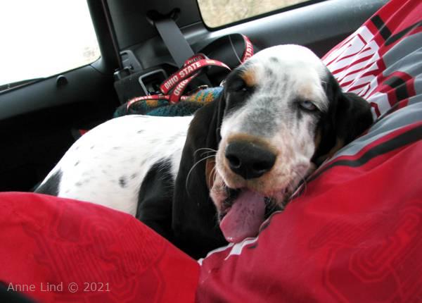 Isabella napping in the car