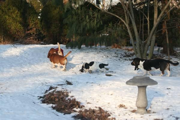 Hoover with his followers