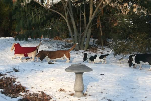 Hoover with his followers