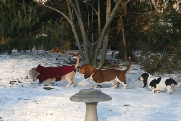 Hoover with his followers