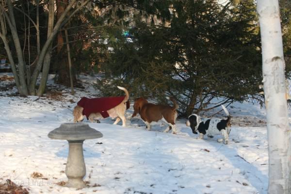 Hoover with his followers