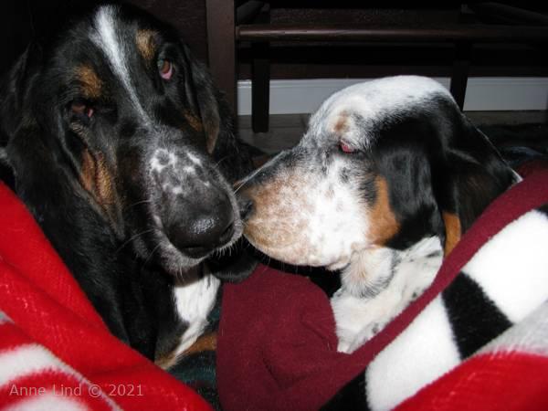 Norm and his little Iz