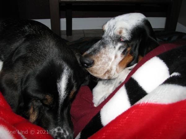 Norm and his little Iz