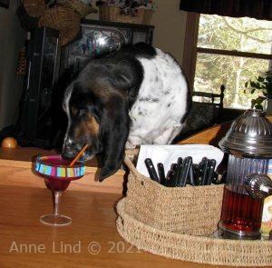 Norm at Gramma Jane's