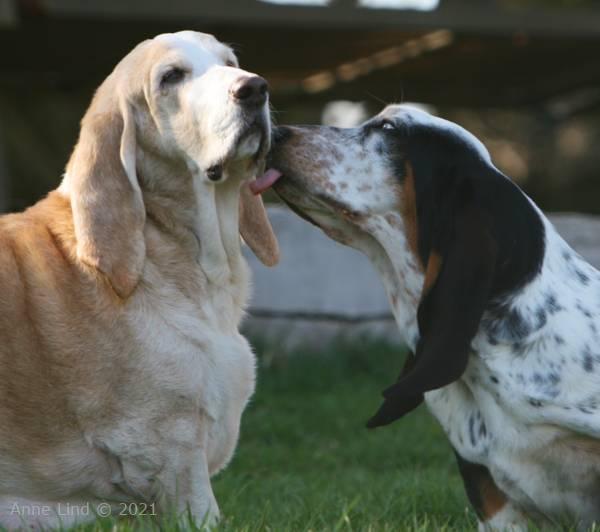 Hoover & Izzy kisses