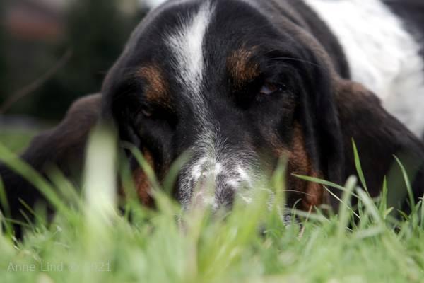 Normie and his laundry