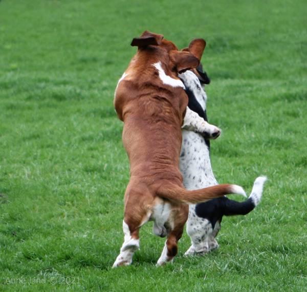 Iz and Nooge dancing