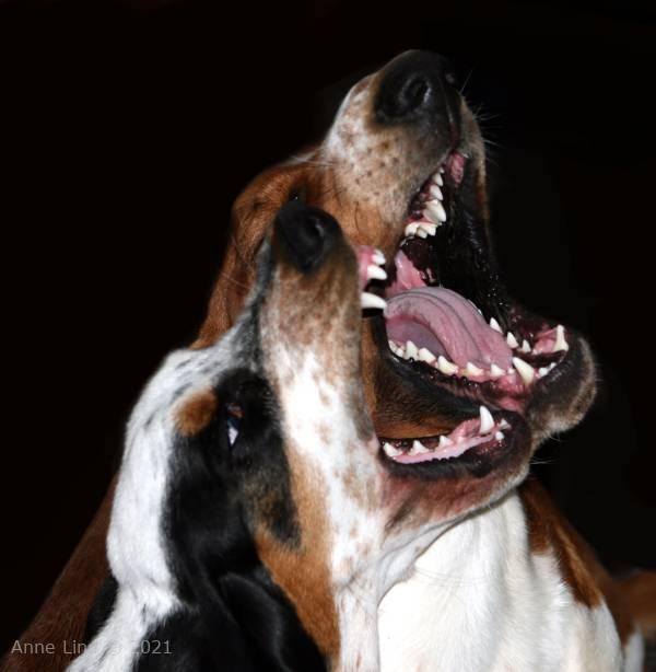 Iz and Nooge singing