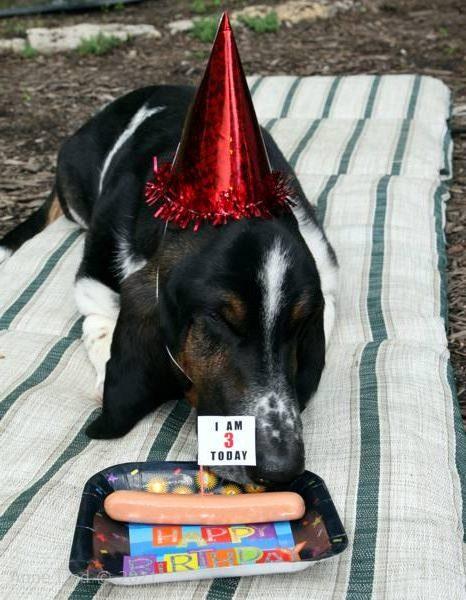 Norman turns 3