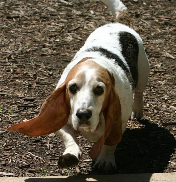 Gretchen gets a bath