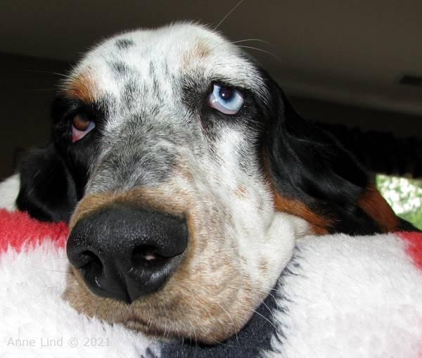 Isabella hanging out