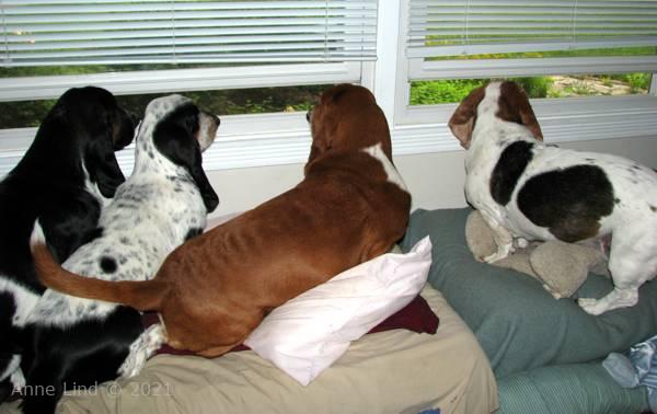 All four at the window