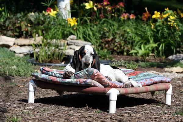 Iz on the pipe bed in the sun