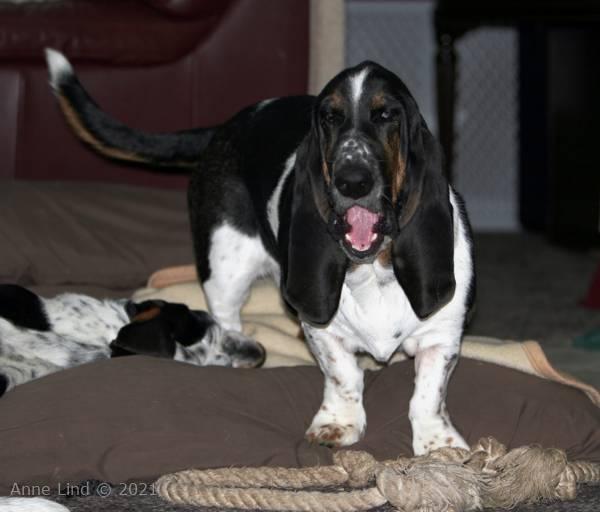 Norm and his rope... again