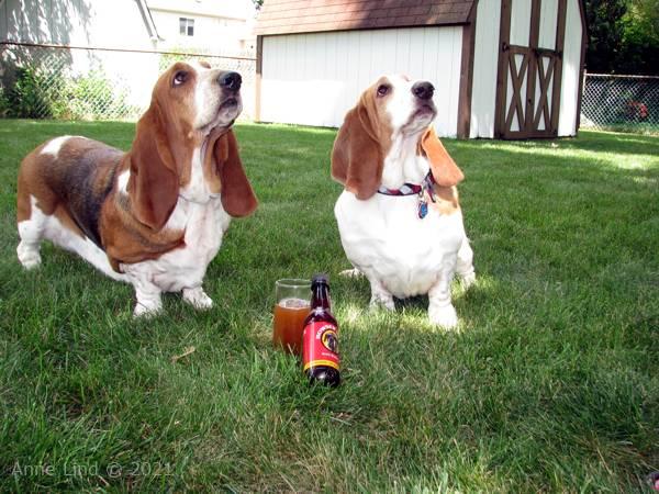 Yanztee's party picts