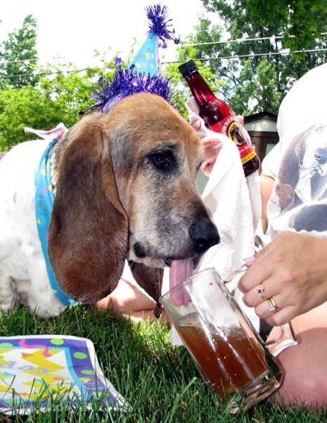 Yantzee Gotcha day party 2009