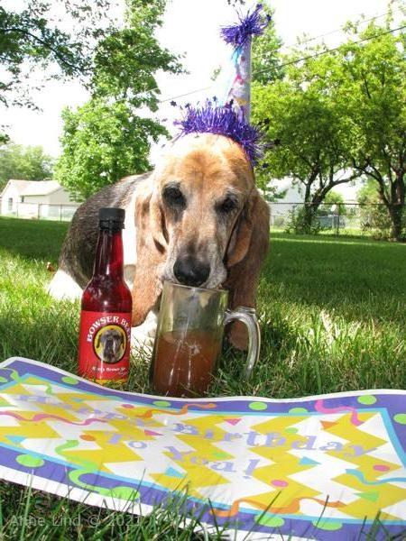 Yantzee Gotcha day party 2009