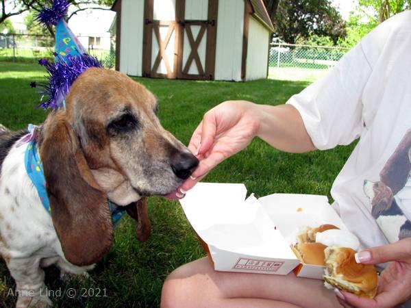 Yanztee Gotcha Day party 2009