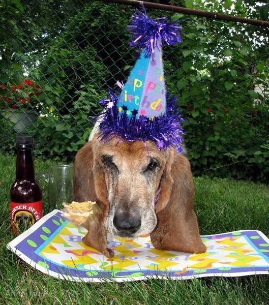 Yantzee Gotcha Day PArty 2009