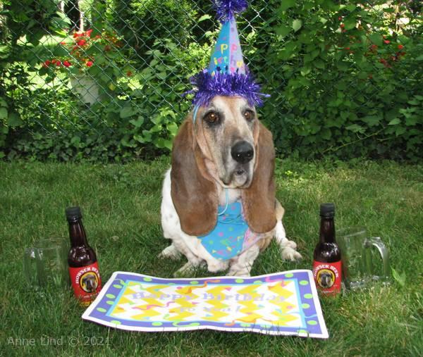 Yantzee Gotcha Day party 2009