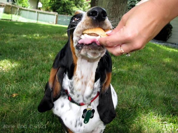 Yantzee's party picts